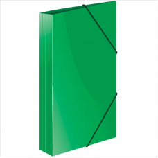Папка на резинках Berlingo Standart, А4, 600мкм, зеленый