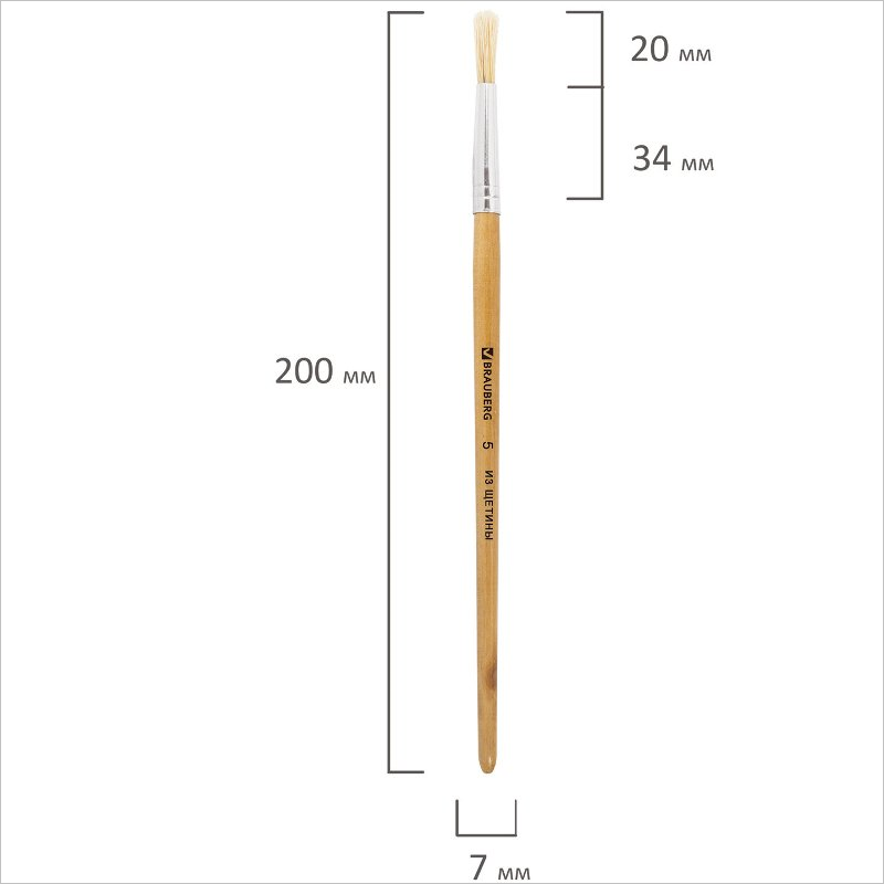 Кисть щетина, круглая, №05, Brauberg, короткая ручка